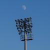 Supporters` Information v Ayr United