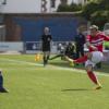 Return to Palmerston, return to team