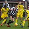 Preview Falkirk