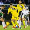 Preview Ayr United
