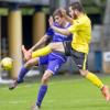 Preview Livingston