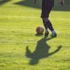 Scottish Football Supporters Survey for season 2019/20