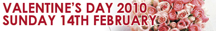 VALENTINES DAY BANNER VALENTINES DAY BANNER